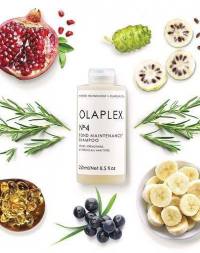 Olaplex-No-4